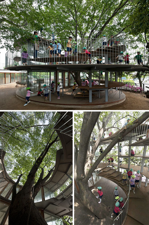 Παιδικός σταθμός στην Ιαπωνία, είναι χτισμένος γύρω από ένα δέντρο SIGMA OFFICE